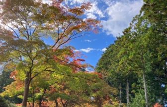 おはようございます☺午後から曇りの予報ですが色付いた紅葉と秋晴れがきれいで暖かくなりそうです☀