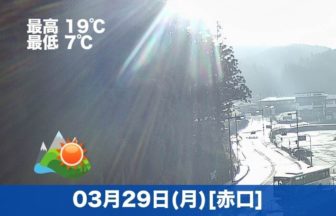 おはようございます☀今日の高野山は気温も高く、天気が良い日になりそうです😊