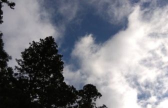おはようございます☺今朝の高野山の気温は8度で雲が多めですが午後からは晴れの予報です☀