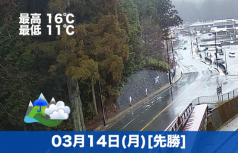 おはようございます☔本日の高野山は雨のちくもりの予報です。暖かい雨の日って案外好きです